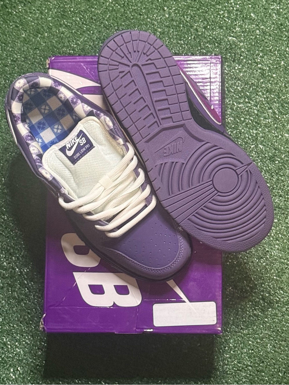 Purple Nike SB Dunks